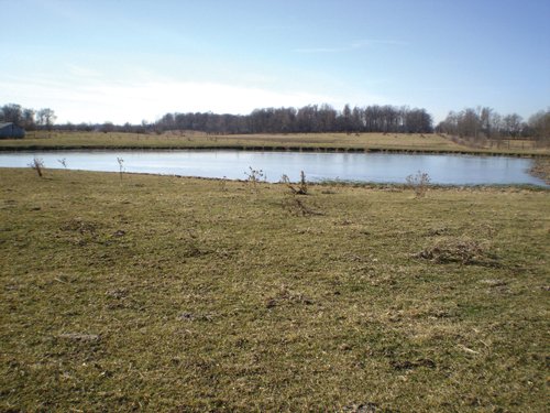 Property photo 15 - 159 Acres Offered in 7 Tracts